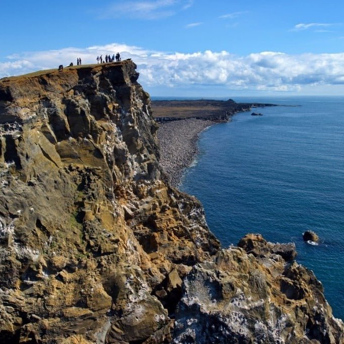 valahn-kur-reykjanest-_oa