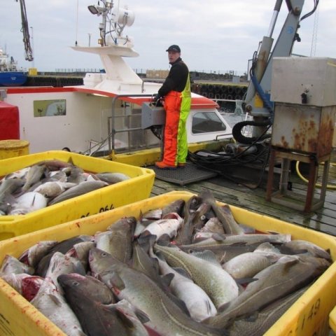 Aflanum landað í Grindavík