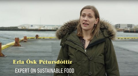 Erla Pétursdóttir framkvæmdastjóri Codland í Grindavík.